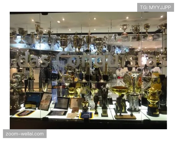 帕尔梅拉斯在多条战线作战中展现强韧,联赛排名稳定,解放者杯晋级前景明朗 帕尔梅拉斯在多条战线作战中展现强韧,联赛排名稳定,解放者杯晋级前景明朗